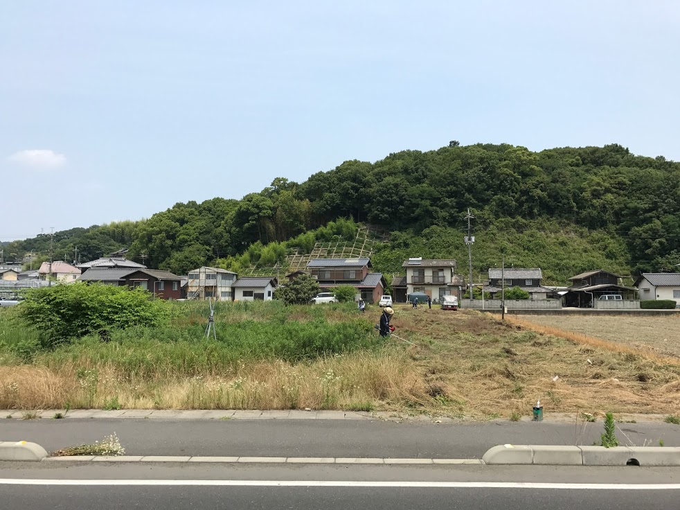 田んぼ半分