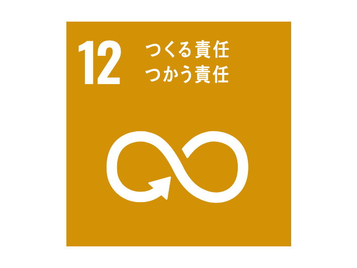 SDGs NO12