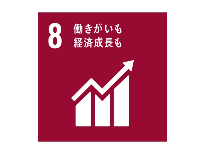 SDGs NO8